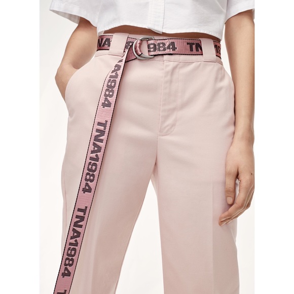 Aritzia Accessories - TNA Leslie Web Belt